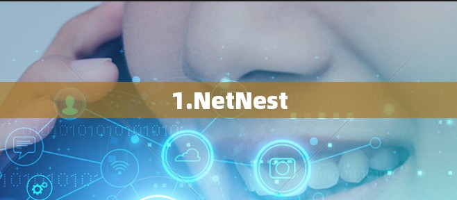 1.NetNest 1.NetNest