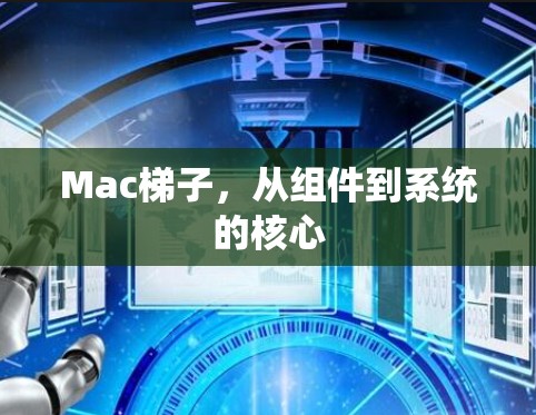 Mac梯子，从组件到系统的核心