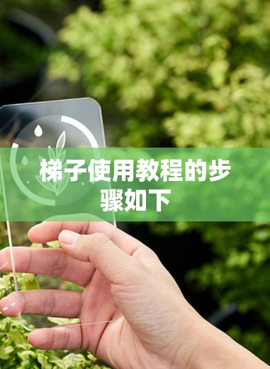 梯子使用教程的步骤如下