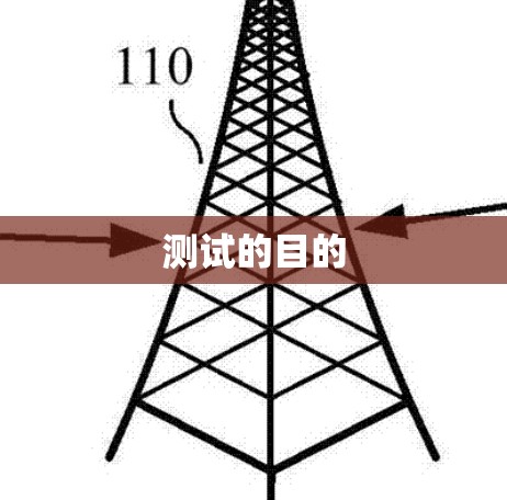 测试的目的 测试的目的