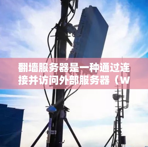 翻墙服务器是一种通过连接并访问外部服务器(WWW服务器)的内部服务器,用于实现资源共享。以下是详细步骤 翻墙服务器是一种通过连接并访问外部服务器(WWW服务器)的内部服务器,用于实现资源共享。以下是详细步骤