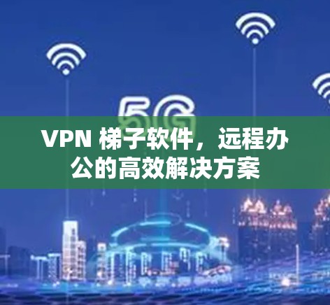 VPN 梯子软件,远程办公的高效解决方案 VPN 梯子软件,远程办公的高效解决方案