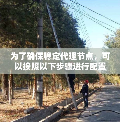 为了确保稳定代理节点,可以按照以下步骤进行配置和管理 为了确保稳定代理节点,可以按照以下步骤进行配置和管理