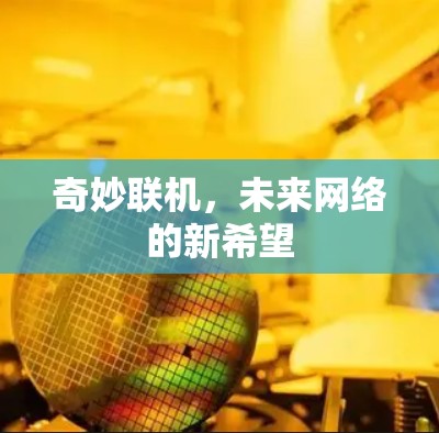 奇妙联机,未来网络的新希望 奇妙联机,未来网络的新希望