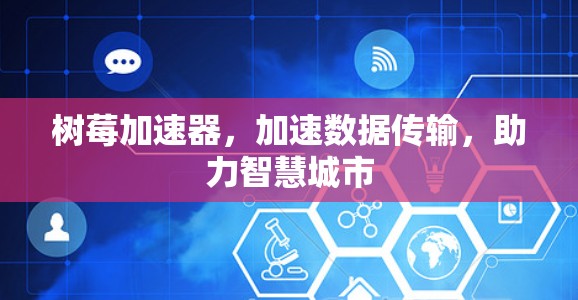 树莓加速器，加速数据传输，助力智慧城市