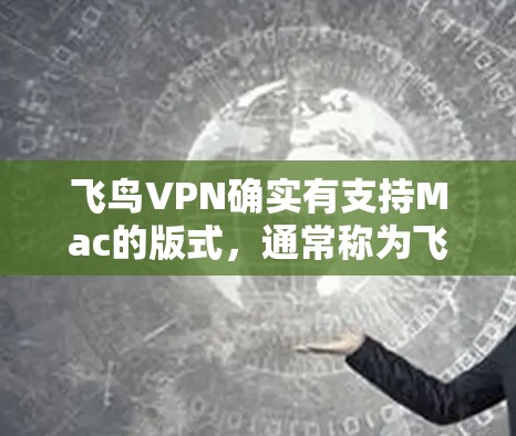 飞鸟VPN确实有支持Mac的版式，通常称为飞鸟VPN Mac版。以下是关于飞鸟VPNMac版的一些信息