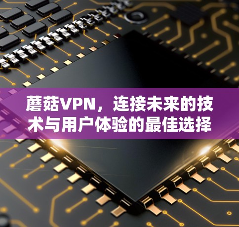 蘑菇VPN，连接未来的技术与用户体验的最佳选择