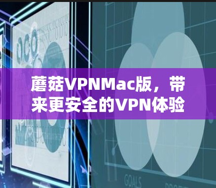 蘑菇VPNMac版，带来更安全的VPN体验