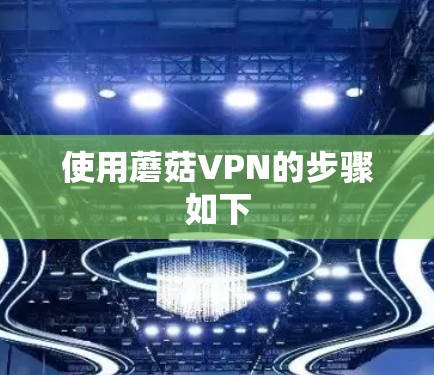 使用蘑菇VPN的步骤如下
