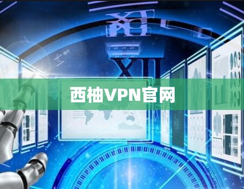 西柚VPN官网