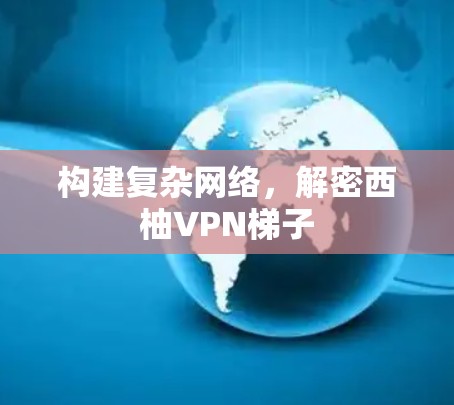 构建复杂网络，解密西柚VPN梯子
