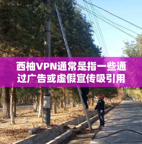 西柚VPN通常是指一些通过广告或虚假宣传吸引用户购买的VPN服务，这类网站并不提供实际的网络连接或VPN功能。因此，不存在所谓的西柚VPN优惠