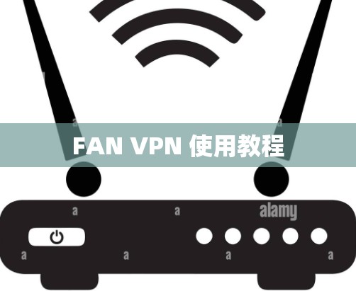 FAN VPN 使用教程