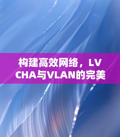 构建高效网络，LVCHA与VLAN的完美结合