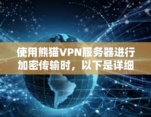 使用熊猫VPN服务器进行加密传输时,以下是详细的步骤指南 使用熊猫VPN服务器进行加密传输时,以下是详细的步骤指南