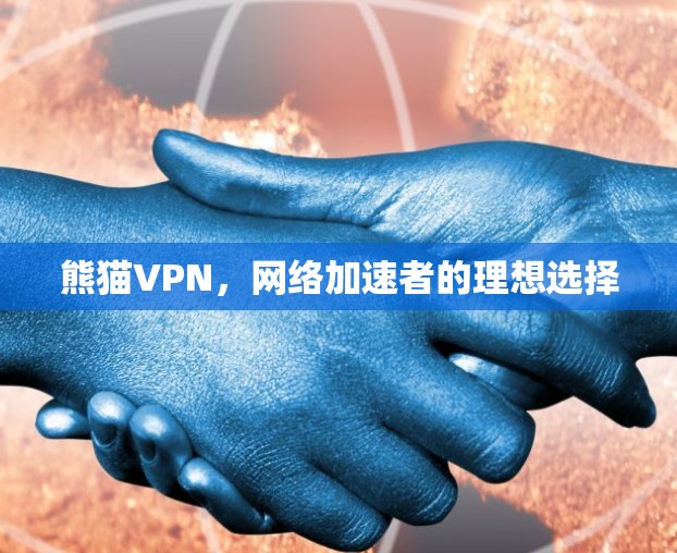 熊猫VPN，网络加速者的理想选择