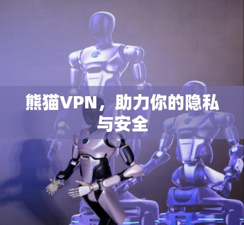 熊猫VPN,助力你的隐私与安全 熊猫VPN,助力你的隐私与安全