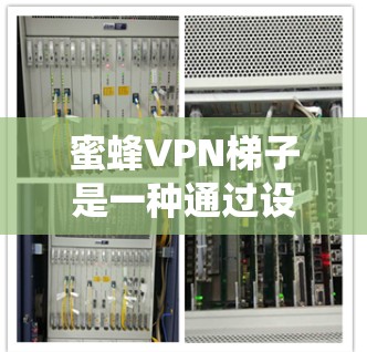 蜜蜂VPN梯子是一种通过设置一系列服务器来绕过 cookies 的VPN技巧，帮助用户更好地访问目标网站。以下是对该方法的详细总结和步骤说明