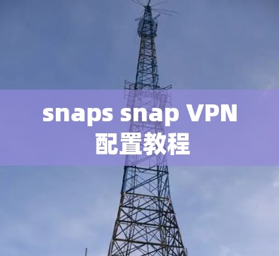 snaps snap VPN 配置教程