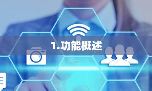 1.功能概述