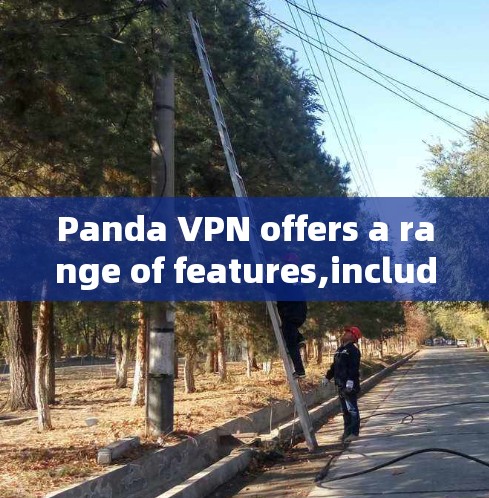 Panda VPN offers a range of features,including: Panda VPN offers a range of features,including: