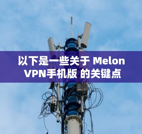 以下是一些关于 Melon VPN手机版 的关键点