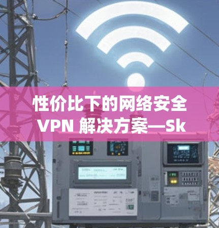 性价比下的网络安全 VPN 解决方案—SkyVPN价格解析