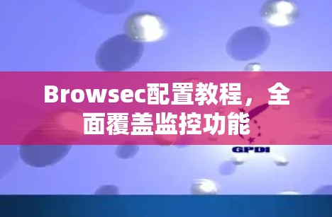 Browsec配置教程，全面覆盖监控功能