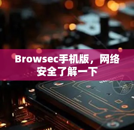 Browsec手机版,网络安全了解一下 Browsec手机版,网络安全了解一下