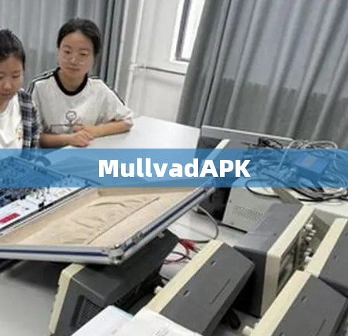 MullvadAPK