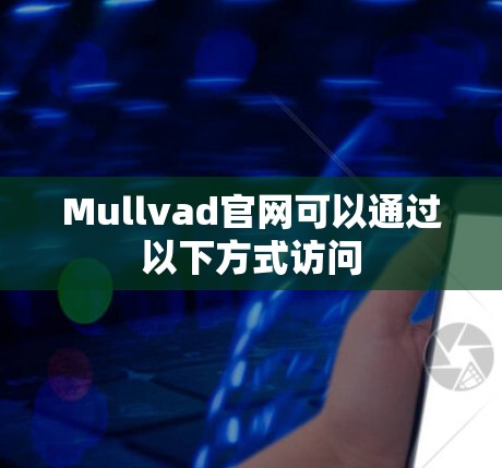 Mullvad官网可以通过以下方式访问 Mullvad官网可以通过以下方式访问