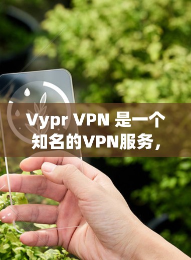 Vypr VPN 是一个知名的VPN服务，提供了一个健康的、无密码的VPN体验，允许用户访问大量互联网资源。要登录 Vypr VPN，您可以按照以下步骤操作