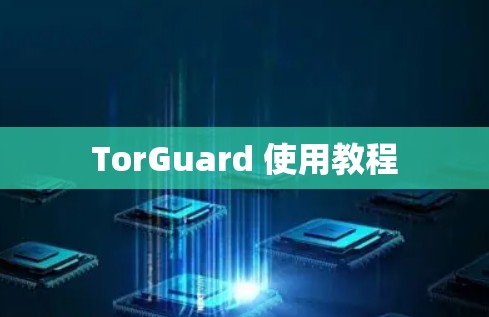 TorGuard 使用教程 TorGuard 使用教程