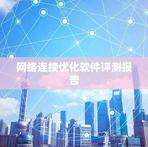 网络连接优化软件评测报告