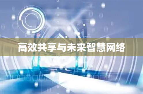 高效共享与未来智慧网络