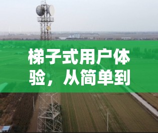梯子式用户体验,从简单到复杂 梯子式用户体验,从简单到复杂