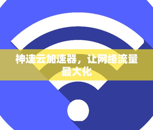 神速云加速器,让网络流量最大化 神速云加速器,让网络流量最大化