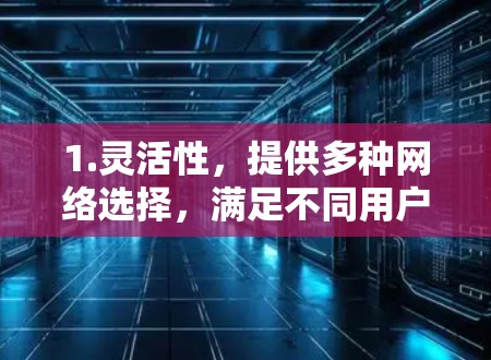 1.灵活性，提供多种网络选择，满足不同用户的需求