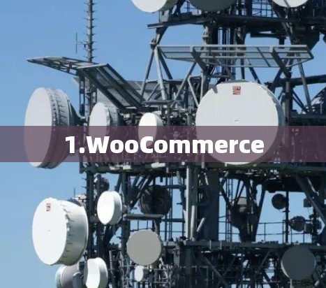 1.WooCommerce