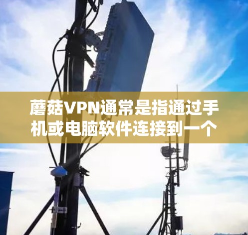 蘑菇VPN通常是指通过手机或电脑软件连接到一个远程服务器，用于VPN（虚拟网络）如果你想使用蘑菇VPN手机端，通常需要按照以下步骤操作