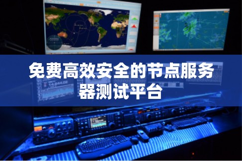 免费高效安全的节点服务器测试平台